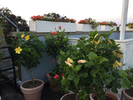 Top of Newport Bar + Kitchen